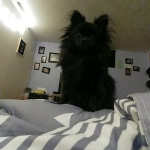 Meet your Posher, Kelee